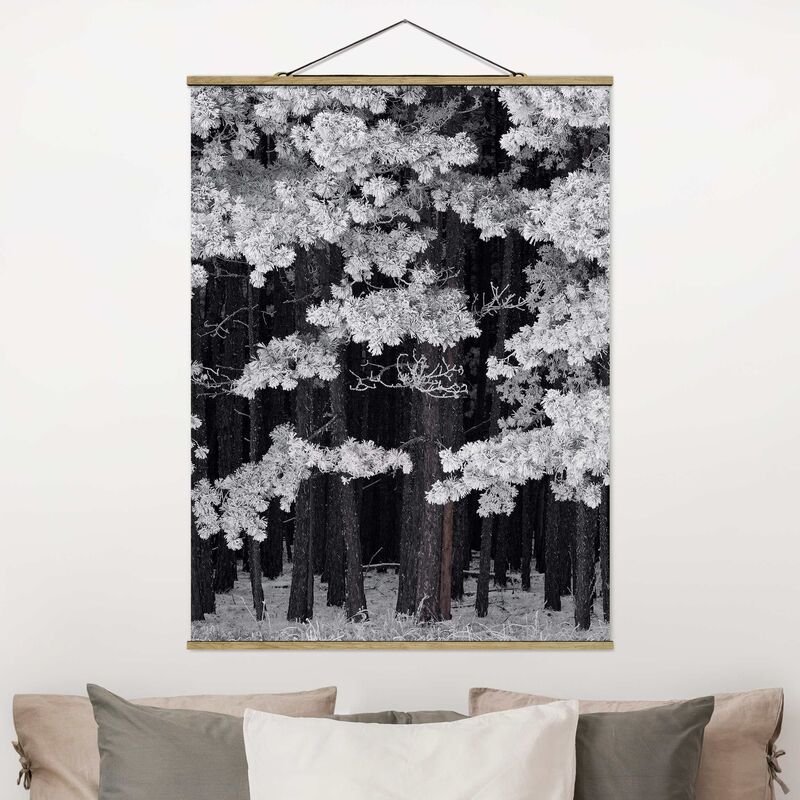 Imagen de tela - Forest With Hoarfrost In Austria - Alto 4:3 Dimensión LxA: 133.5cm x 100cm
Imagen de tela - Forest With Hoarfrost In Austria - Alto 4:3 Dimensión LxA: 133.5cm x 100cm