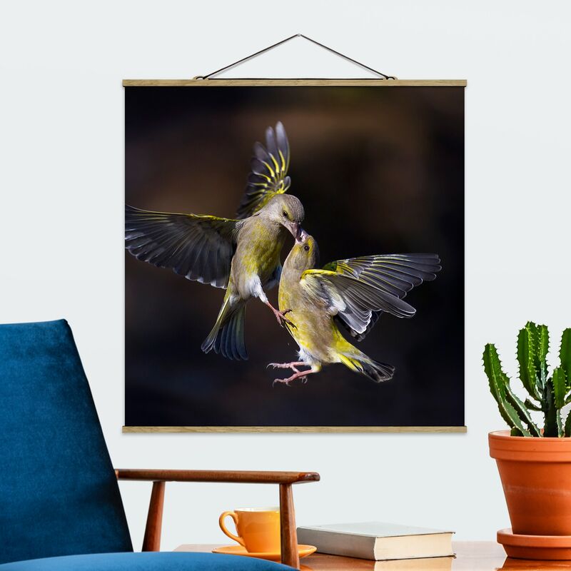 Imagen de tela - Kissing Hummingbirds - Cuadrado 1:1 Dimensión LxA: 80cm x 80cm
Imagen de tela - Kissing Hummingbirds - Cuadrado 1:1 Dimensión LxA: 80cm x 80cm