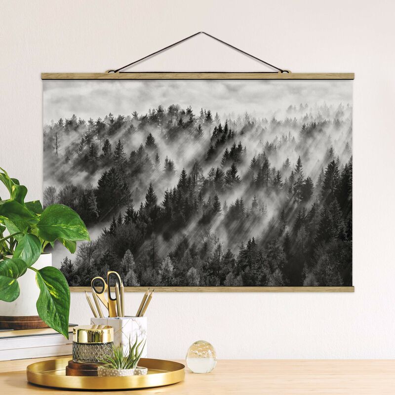 Imagen de tela - Light Rays In The Coniferous Forest - Apaisado 2:3 Dimensión LxA: 33.5cm x 50cm
Imagen de tela - Light Rays In The Coniferous Forest - Apaisado 2:3 Dimensión LxA: 33.5cm x 50cm
