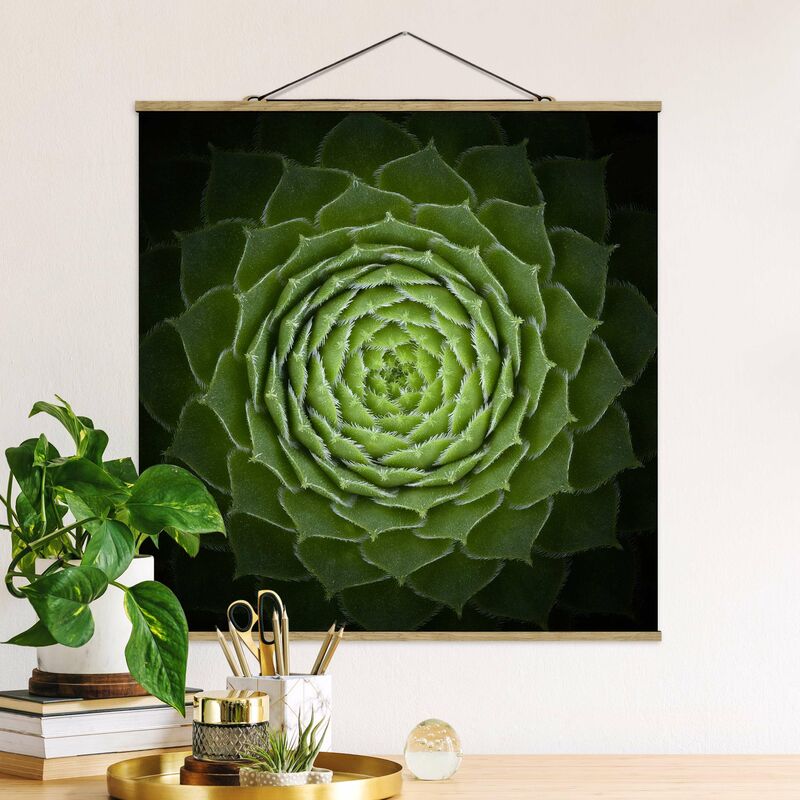 Imagen de tela - Mandala Succulent - Cuadrado 1:1 Dimensión LxA: 100cm x 100cm
Imagen de tela - Mandala Succulent - Cuadrado 1:1 Dimensión LxA: 100cm x 100cm