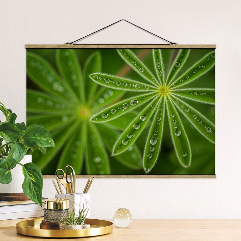 Imagen de tela - Morning Dew On Lupine Leaves - Apaisado 2:3 Dimensión LxA: 23.5cm x 35cm
Imagen de tela - Morning Dew On Lupine Leaves - Apaisado 2:3 Dimensión LxA: 23.5cm x 35cm