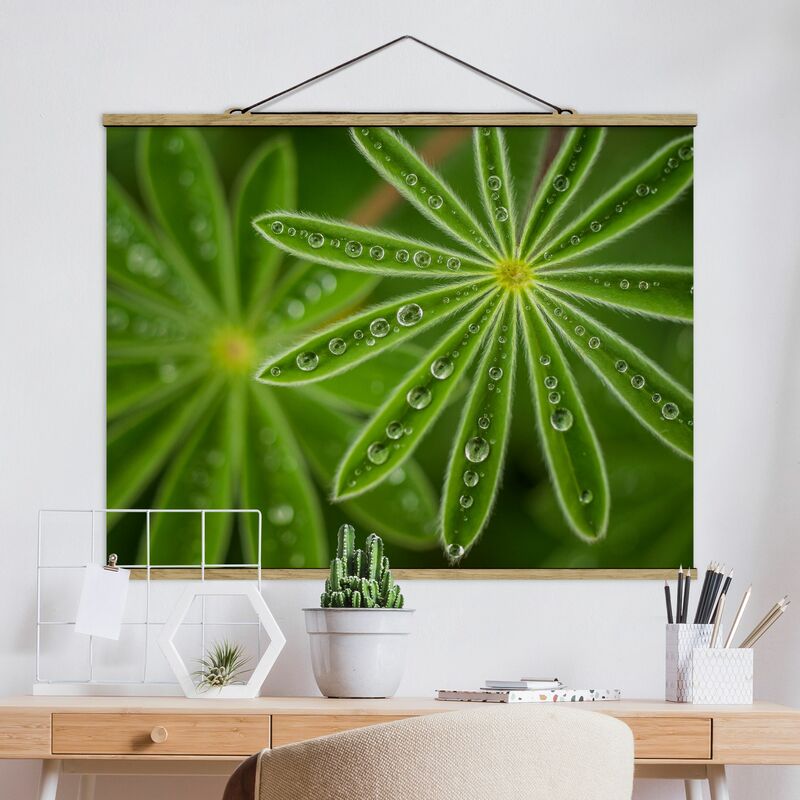 Imagen de tela - Morning Dew On Lupine Leaves - Apaisado 3:4 Dimensión LxA: 37.5cm x 50cm
Imagen de tela - Morning Dew On Lupine Leaves - Apaisado 3:4 Dimensión LxA: 37.5cm x 50cm