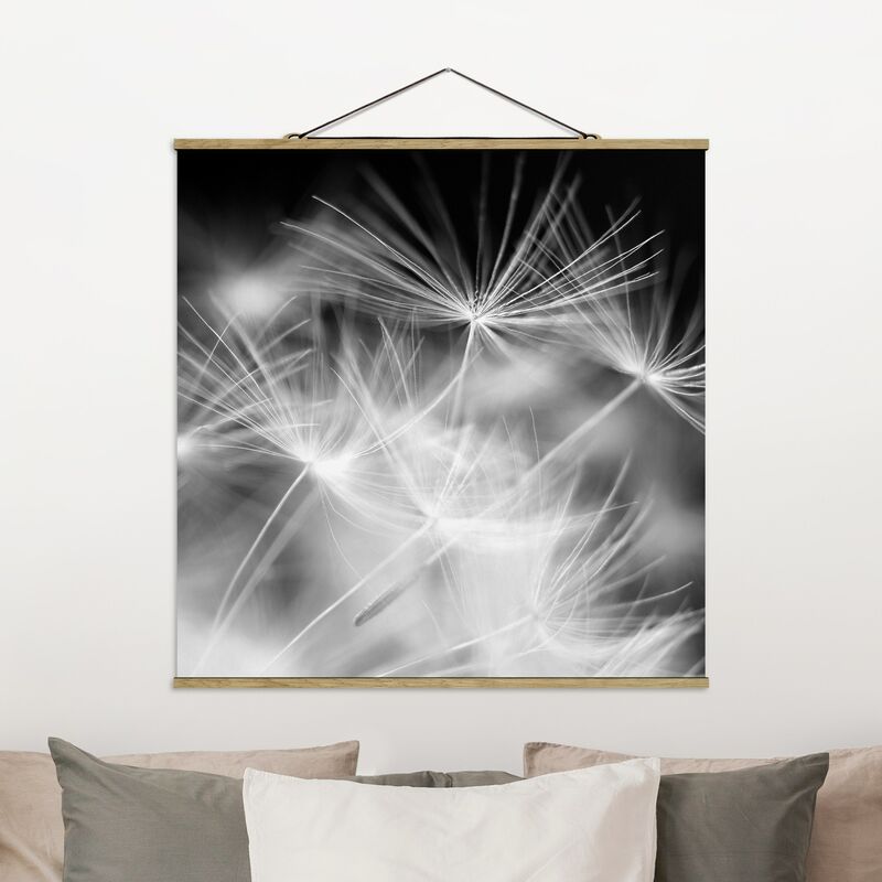 Imagen de tela - Moving Dandelions Close Up On Black Background - Cuadrado 1:1 Dimensión LxA: 50cm x 50cm
Imagen de tela - Moving Dandelions Close Up On Black Background - Cuadrado 1:1 Dimensión LxA: 50cm x 50cm