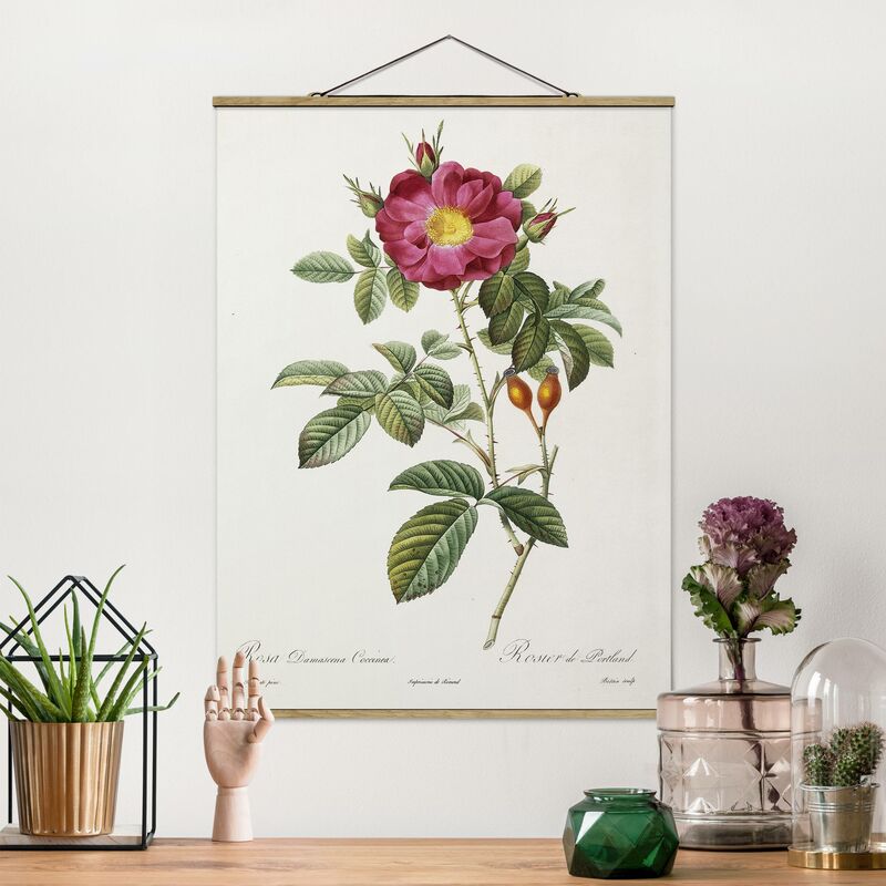 Imagen de tela - Pierre Joseph Redoute - Portland Rose - Alto 4:3 Dimensión LxA: 46.5cm x 35cm
Imagen de tela - Pierre Joseph Redoute - Portland Rose - Alto 4:3 Dimensión LxA: 46.5cm x 35cm