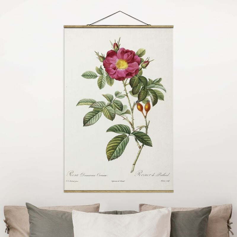 Imagen de tela - Pierre Joseph Redoute - Portland Rose - Alto 3:2 Dimensión LxA: 150cm x 100cm
Imagen de tela - Pierre Joseph Redoute - Portland Rose - Alto 3:2 Dimensión LxA: 150cm x 100cm