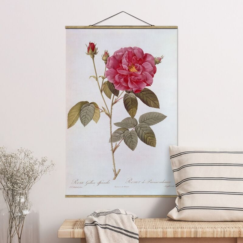 Imagen de tela - Pierre Joseph Redoute - Pharmacist Rose - Alto 3:2 Dimensión LxA: 52.5cm x 35cm
Imagen de tela - Pierre Joseph Redoute - Pharmacist Rose - Alto 3:2 Dimensión LxA: 52.5cm x 35cm