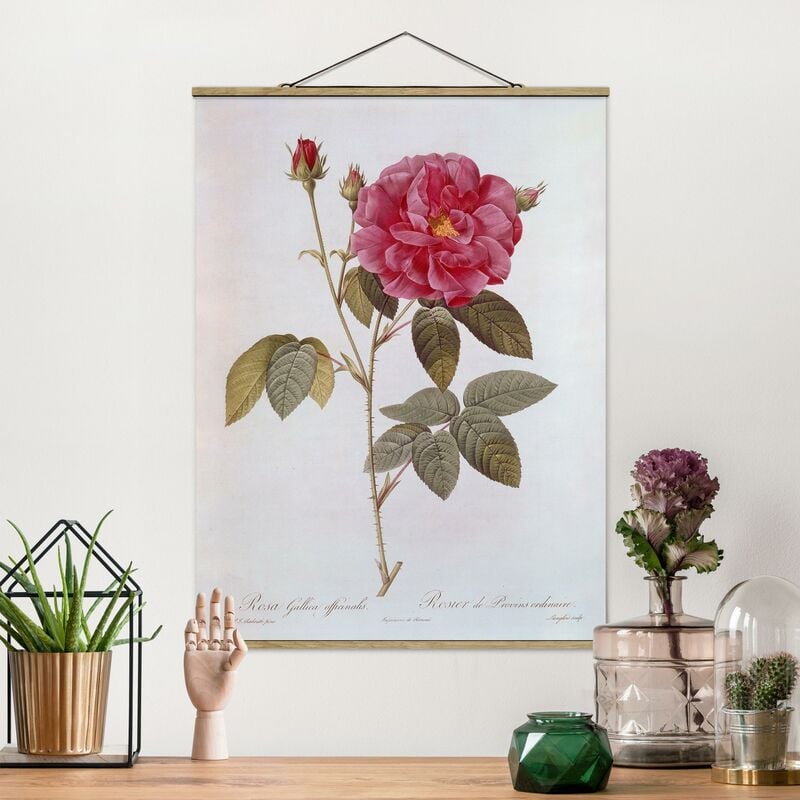 Imagen de tela - Pierre Joseph Redoute - Pharmacist Rose - Alto 4:3 Dimensión LxA: 66.4cm x 50cm
Imagen de tela - Pierre Joseph Redoute - Pharmacist Rose - Alto 4:3 Dimensión LxA: 66.4cm x 50cm