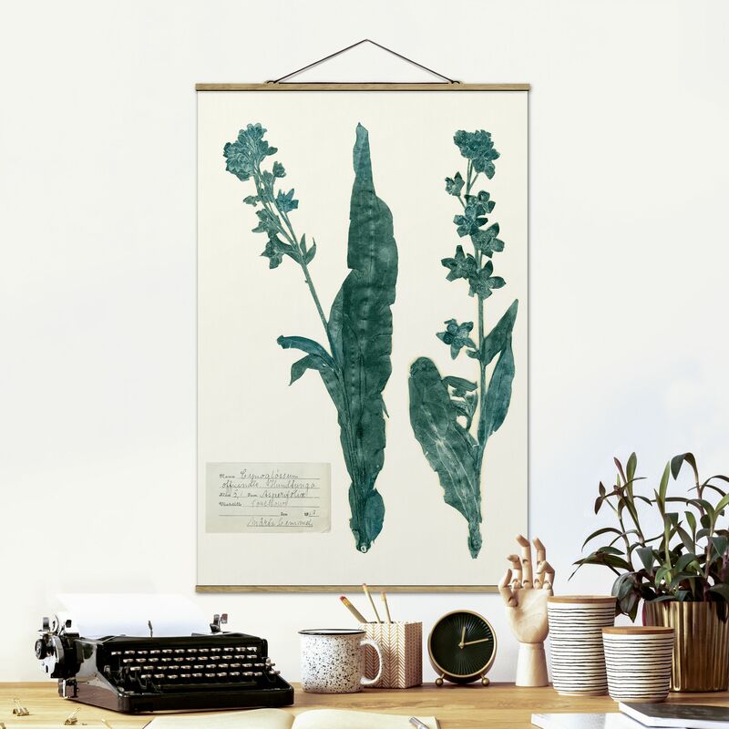 Imagen de tela - Pressed Flowers - Hound's Tongue - Alto 3:2 Dimensión LxA: 52.5cm x 35cm
Imagen de tela - Pressed Flowers - Hound's Tongue - Alto 3:2 Dimensión LxA: 52.5cm x 35cm