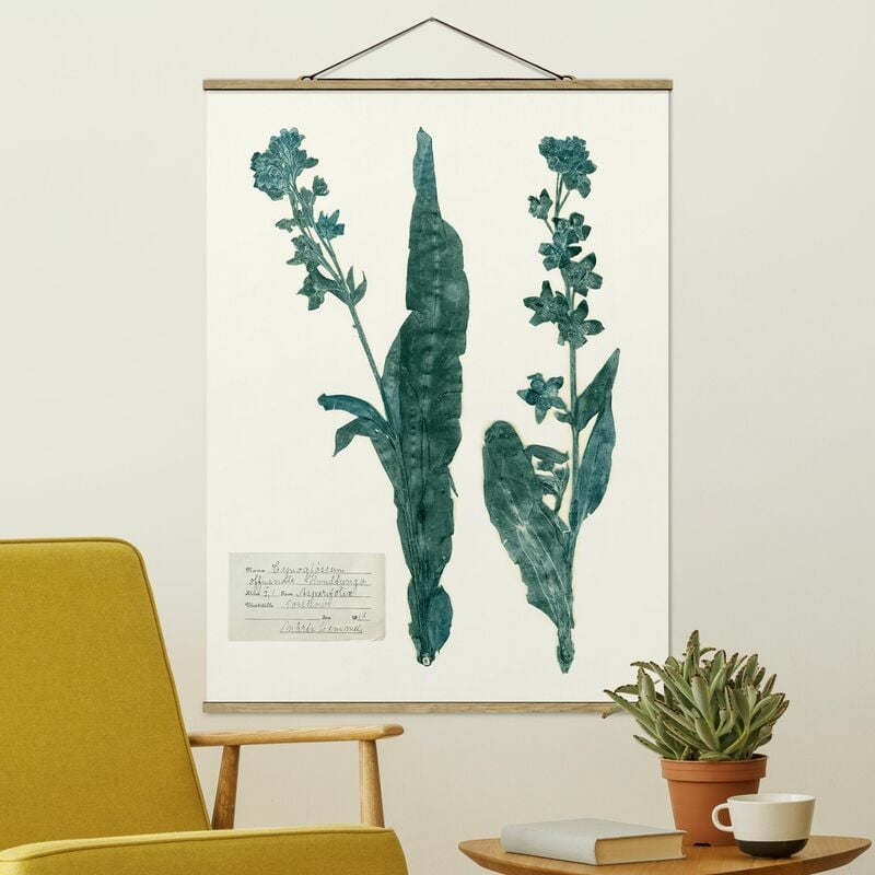 Imagen de tela - Pressed Flowers - Hound's Tongue - Alto 4:3 Dimensión LxA: 106.5cm x 80cm
Imagen de tela - Pressed Flowers - Hound's Tongue - Alto 4:3 Dimensión LxA: 106.5cm x 80cm