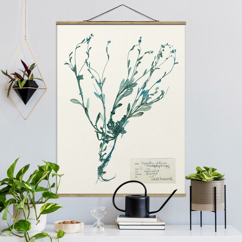 Imagen de tela - Pressed Flowers - Forget Me Not - Alto 4:3 Dimensión LxA: 106.5cm x 80cm
Imagen de tela - Pressed Flowers - Forget Me Not - Alto 4:3 Dimensión LxA: 106.5cm x 80cm