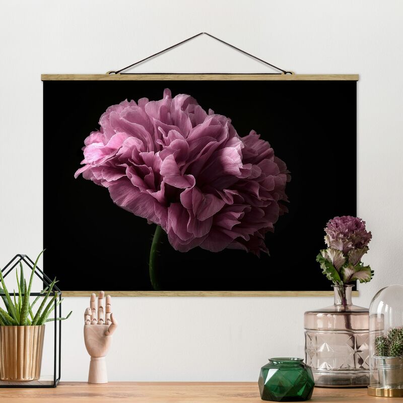 Imagen de tela - Proud Peony In Front Of Black - Apaisado 2:3 Dimensión LxA: 33.5cm x 50cm
Imagen de tela - Proud Peony In Front Of Black - Apaisado 2:3 Dimensión LxA: 33.5cm x 50cm