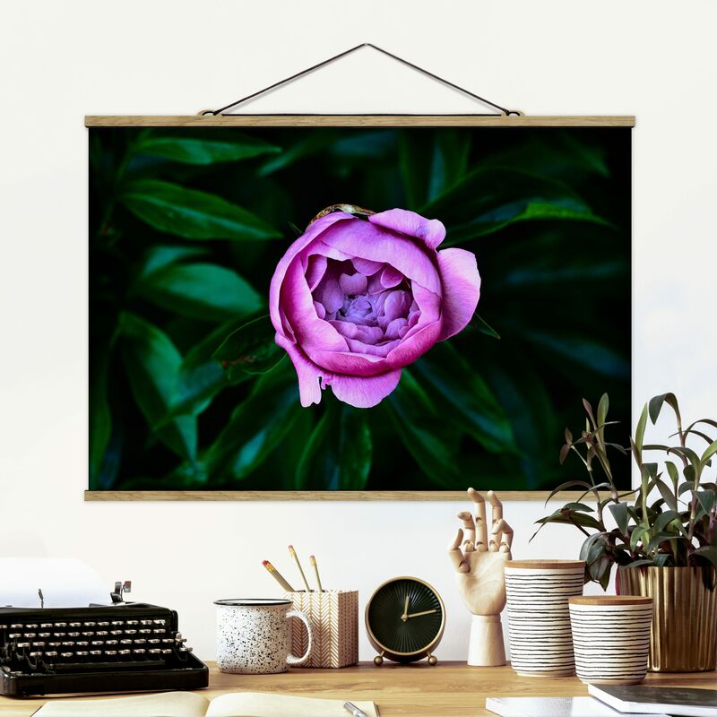 Imagen de tela - Purple Peonies Bloom And Leaves - Apaisado 2:3 Dimensión LxA: 33.5cm x 50cm
Imagen de tela - Purple Peonies Bloom And Leaves - Apaisado 2:3 Dimensión LxA: 33.5cm x 50cm