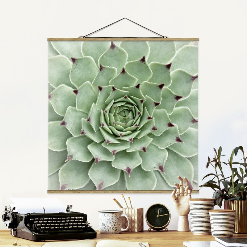 Imagen de tela - Stone Rose Jovibarba Hirta - Cuadrado 1:1 Dimensión LxA: 100cm x 100cm
Imagen de tela - Stone Rose Jovibarba Hirta - Cuadrado 1:1 Dimensión LxA: 100cm x 100cm