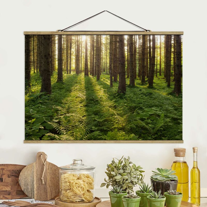 Imagen de tela - Sun Rays In Green Forest - Apaisado 2:3 Dimensión LxA: 66.5cm x 100cm
Imagen de tela - Sun Rays In Green Forest - Apaisado 2:3 Dimensión LxA: 66.5cm x 100cm