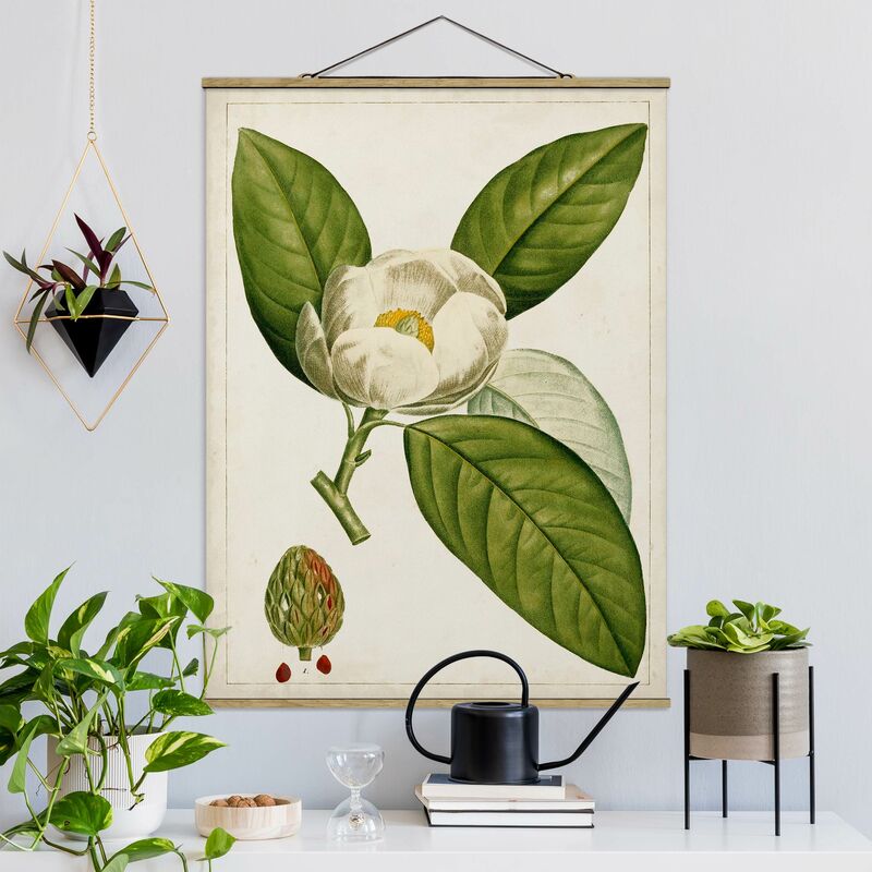 Imagen de tela - Tableau Leaf Flower Fruit II - Alto 4:3 Dimensión LxA: 106.5cm x 80cm
Imagen de tela - Tableau Leaf Flower Fruit II - Alto 4:3 Dimensión LxA: 106.5cm x 80cm