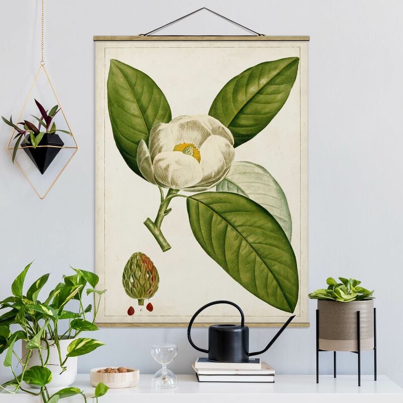 Bilderwelten - Imagen de tela - Tableau Leaf Flower Fruit II - Alto 4:3 Dimensión LxA: 46.5cm x 35cm
Bilderwelten - Imagen de tela - Tableau Leaf Flower Fruit II - Alto 4:3 Dimensión LxA: 46.5cm x 35cm