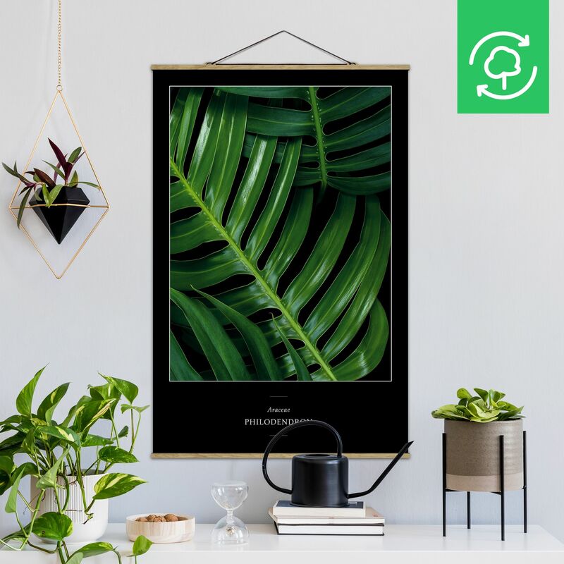 Imagen de tela - Tropical Leaves Philodendron - Alto 3:2 Dimensión LxA: 52.5cm x 35cm
Imagen de tela - Tropical Leaves Philodendron - Alto 3:2 Dimensión LxA: 52.5cm x 35cm