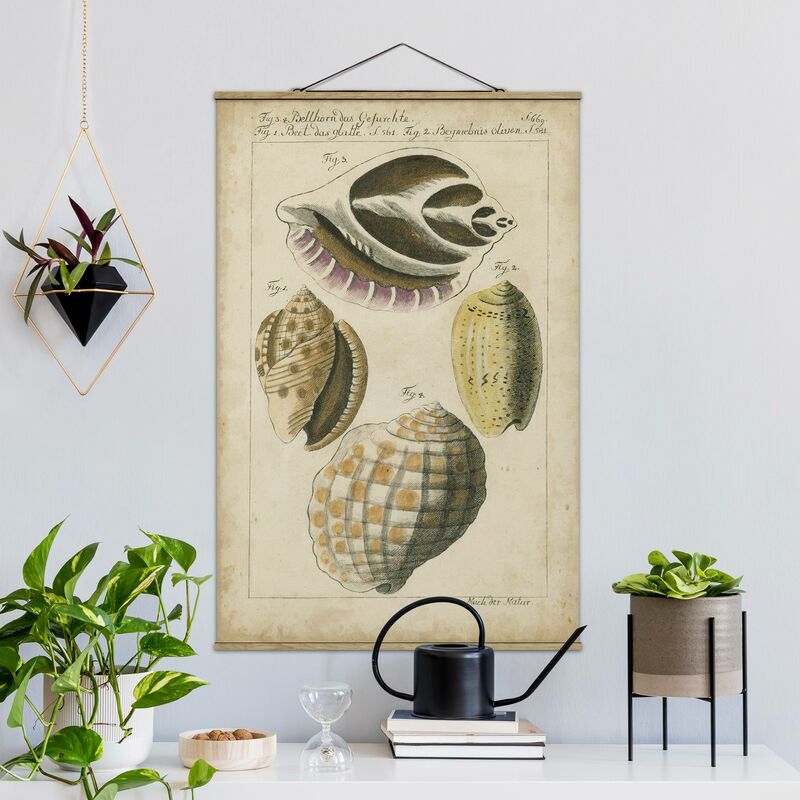 Imagen de tela - Vintage Conch Drawing Yellow - Alto 3:2 Dimensión LxA: 75cm x 50cm
Imagen de tela - Vintage Conch Drawing Yellow - Alto 3:2 Dimensión LxA: 75cm x 50cm