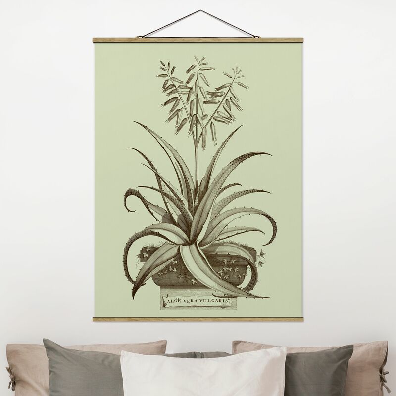 Imagen de tela - Vintage Aloe Vera Vulgaris - Alto 4:3 Dimensión LxA: 106.5cm x 80cm
Imagen de tela - Vintage Aloe Vera Vulgaris - Alto 4:3 Dimensión LxA: 106.5cm x 80cm