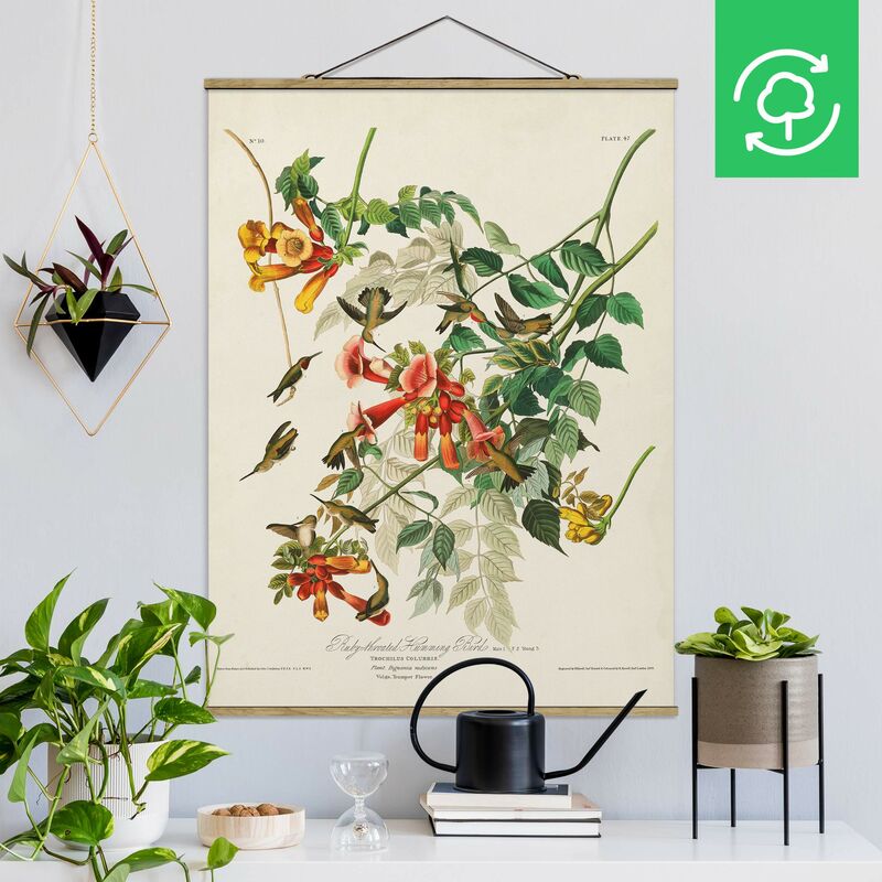 Imagen de tela - Vintage Board Hummingbirds - Alto 4:3 Dimensión LxA: 66.4cm x 50cm
Imagen de tela - Vintage Board Hummingbirds - Alto 4:3 Dimensión LxA: 66.4cm x 50cm