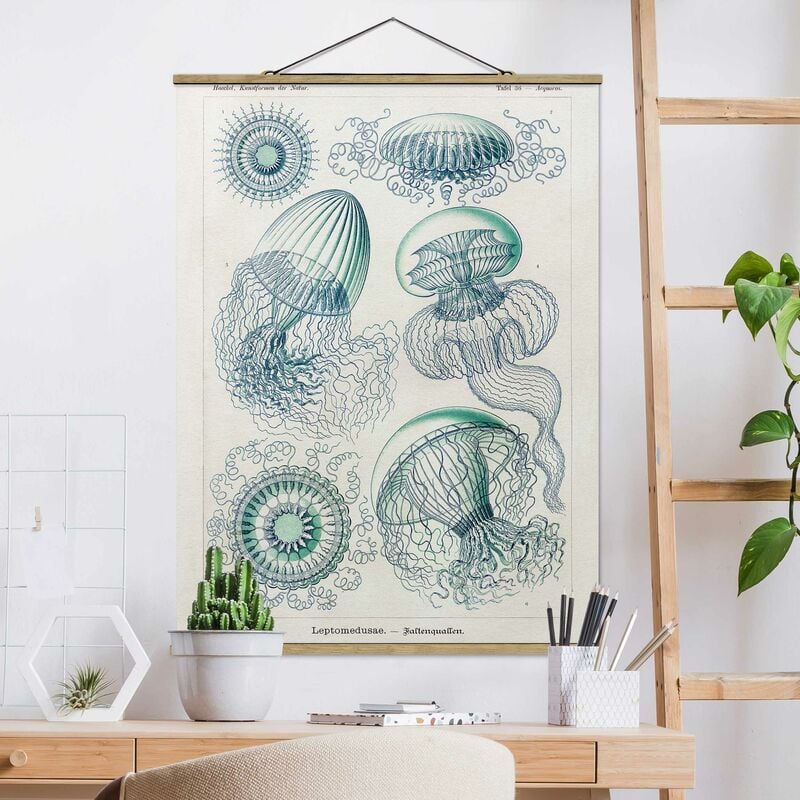 Imagen de tela - Vintage Board Jellyfish In Blue - Alto 4:3 Dimensión LxA: 46.5cm x 35cm
Imagen de tela - Vintage Board Jellyfish In Blue - Alto 4:3 Dimensión LxA: 46.5cm x 35cm