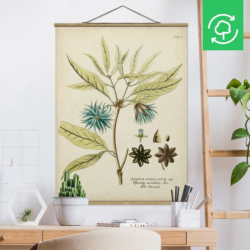 Imagen de tela - Vintage Botany In Blue Star Anise - Alto 4:3 Dimensión LxA: 133.5cm x 100cm
Imagen de tela - Vintage Botany In Blue Star Anise - Alto 4:3 Dimensión LxA: 133.5cm x 100cm