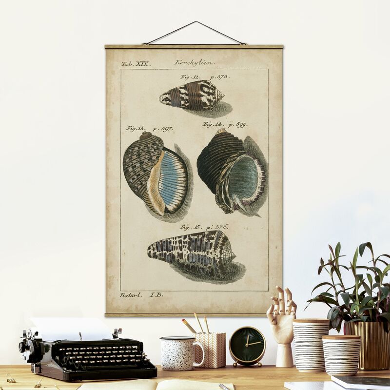 Imagen de tela - Vintage Conch Drawing Brown - Alto 3:2 Dimensión LxA: 150cm x 100cm
Imagen de tela - Vintage Conch Drawing Brown - Alto 3:2 Dimensión LxA: 150cm x 100cm
