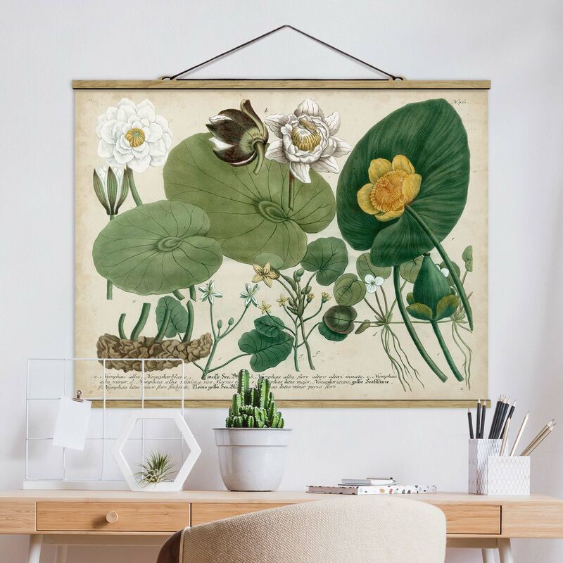 Imagen de tela - Vintage Board White Water-Lily - Apaisado 3:4 Dimensión LxA: 75cm x 100cm
Imagen de tela - Vintage Board White Water-Lily - Apaisado 3:4 Dimensión LxA: 75cm x 100cm