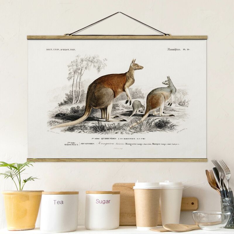 Imagen de tela - Vintage Board Kangaroo - Apaisado 2:3 Dimensión LxA: 66.5cm x 100cm
Imagen de tela - Vintage Board Kangaroo - Apaisado 2:3 Dimensión LxA: 66.5cm x 100cm