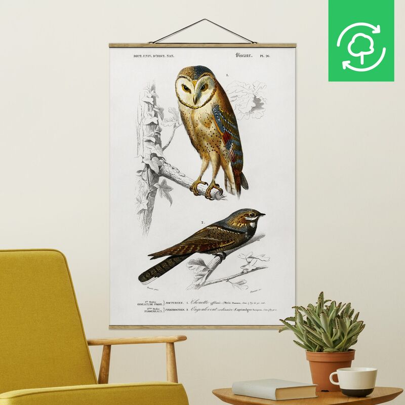 Imagen de tela - Vintage Board Owl And Swallow - Alto 3:2 Dimensión LxA: 52.5cm x 35cm
Imagen de tela - Vintage Board Owl And Swallow - Alto 3:2 Dimensión LxA: 52.5cm x 35cm