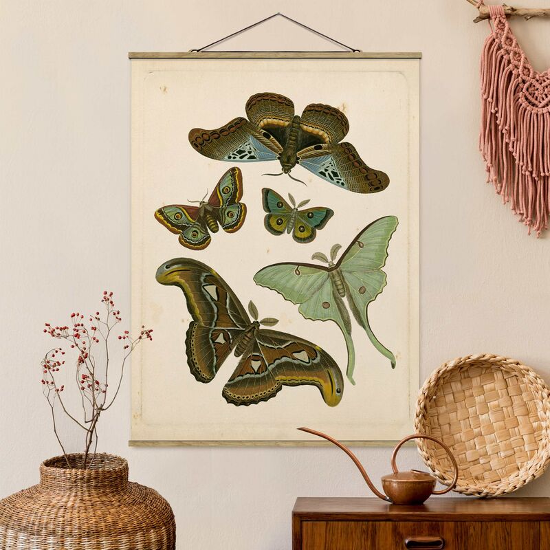 Imagen de tela - Vintage Illustration Exotic Butterflies II - Alto 4:3 Dimensión LxA: 66.4cm x 50cm
Imagen de tela - Vintage Illustration Exotic Butterflies II - Alto 4:3 Dimensión LxA: 66.4cm x 50cm