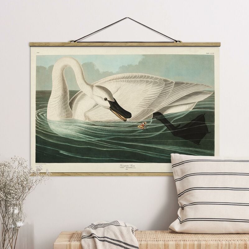 Imagen de tela - Vintage Board Trumpeter Swan - Apaisado 2:3 Dimensión LxA: 33.5cm x 50cm
Imagen de tela - Vintage Board Trumpeter Swan - Apaisado 2:3 Dimensión LxA: 33.5cm x 50cm