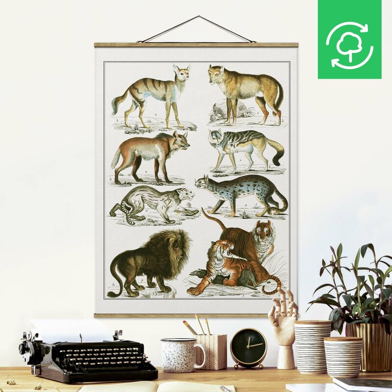 Imagen de tela - Vintage Board Lion, Tiger And Jackal - Alto 4:3 Dimensión LxA: 66.4cm x 50cm
Imagen de tela - Vintage Board Lion, Tiger And Jackal - Alto 4:3 Dimensión LxA: 66.4cm x 50cm