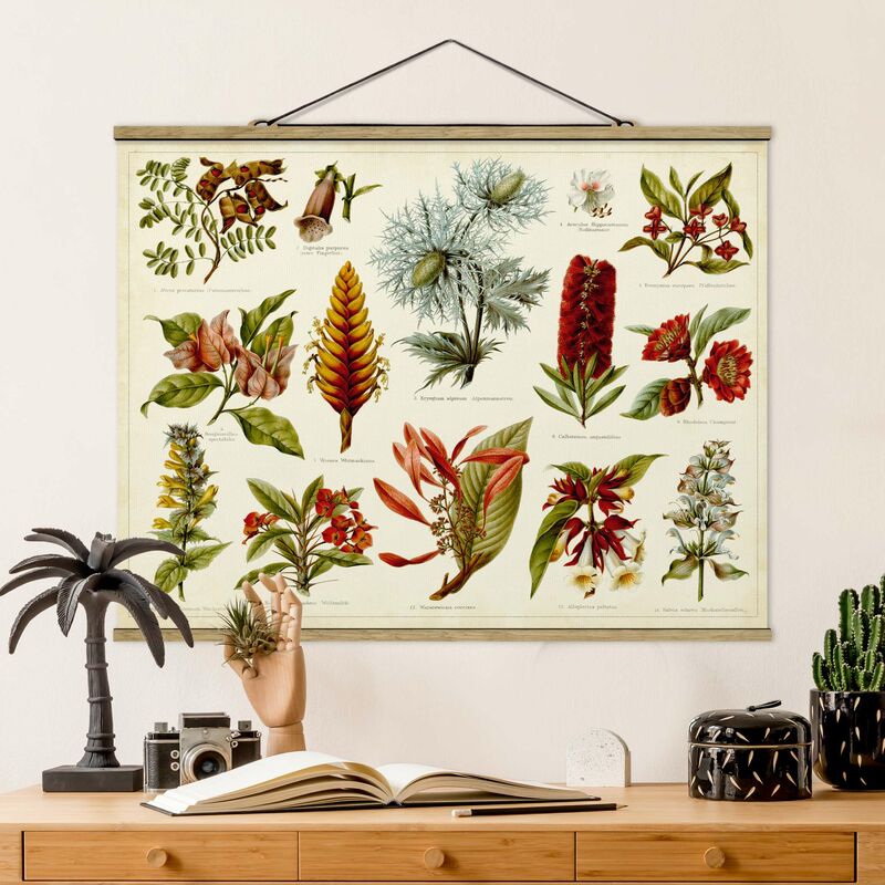 Imagen de tela - Vintage Board Tropical Botany I - Apaisado 3:4 Dimensión LxA: 26cm x 35cm
Imagen de tela - Vintage Board Tropical Botany I - Apaisado 3:4 Dimensión LxA: 26cm x 35cm