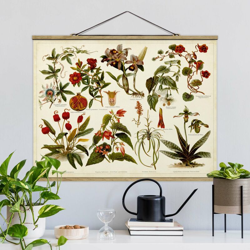 Imagen de tela - Vintage Board Tropical Botany II - Apaisado 3:4 Dimensión LxA: 75cm x 100cm
Imagen de tela - Vintage Board Tropical Botany II - Apaisado 3:4 Dimensión LxA: 75cm x 100cm