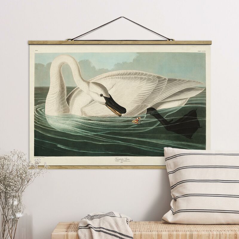 Imagen de tela - Vintage Board Trumpeter Swan - Apaisado 2:3 Dimensión LxA: 66.5cm x 100cm
Imagen de tela - Vintage Board Trumpeter Swan - Apaisado 2:3 Dimensión LxA: 66.5cm x 100cm