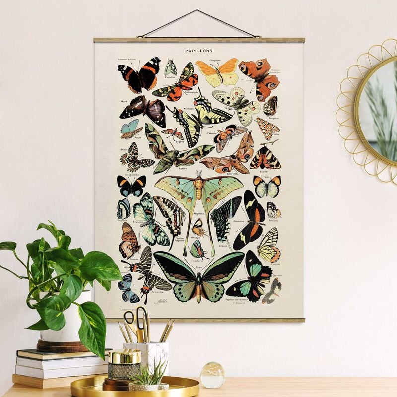 Imagen de tela - Vintage Board Butterflies And Moths - Alto 4:3 Dimensión LxA: 133.5cm x 100cm
Imagen de tela - Vintage Board Butterflies And Moths - Alto 4:3 Dimensión LxA: 133.5cm x 100cm