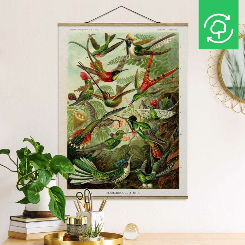Imagen de tela - Vintage Board Hummingbirds - Alto 4:3 Dimensión LxA: 133.5cm x 100cm
Imagen de tela - Vintage Board Hummingbirds - Alto 4:3 Dimensión LxA: 133.5cm x 100cm
