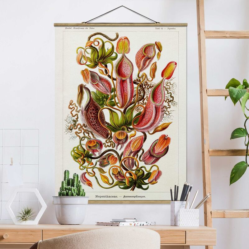 Imagen de tela - Vintage Board Plants Illustration Red Green - Alto 4:3 Dimensión LxA: 133.5cm x 100cm
Imagen de tela - Vintage Board Plants Illustration Red Green - Alto 4:3 Dimensión LxA: 133.5cm x 100cm