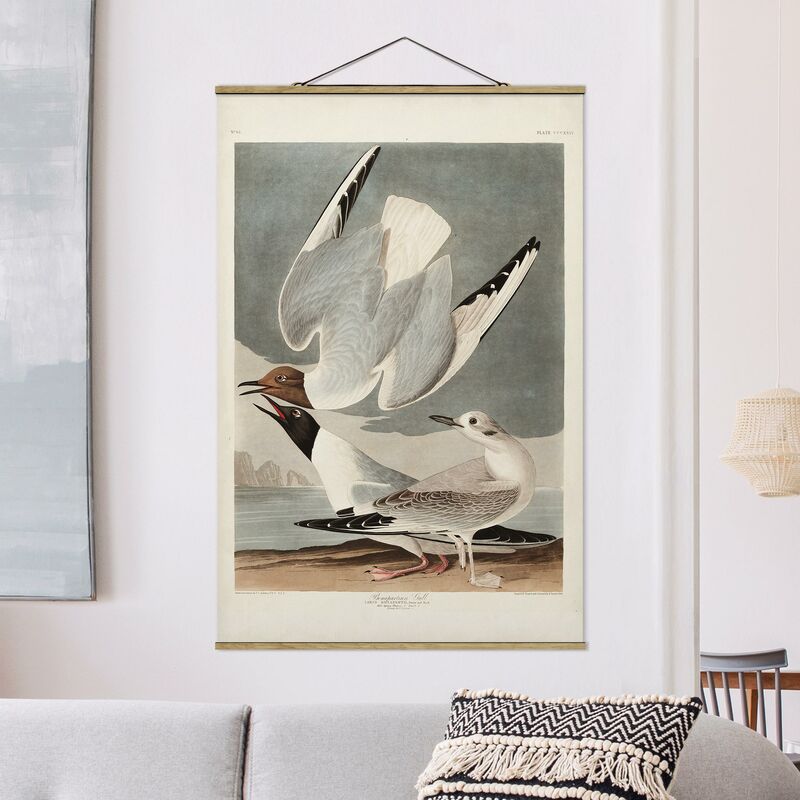 Imagen de tela - Vintage Board Bonaparte Gull - Alto 3:2 Dimensión LxA: 150cm x 100cm
Imagen de tela - Vintage Board Bonaparte Gull - Alto 3:2 Dimensión LxA: 150cm x 100cm