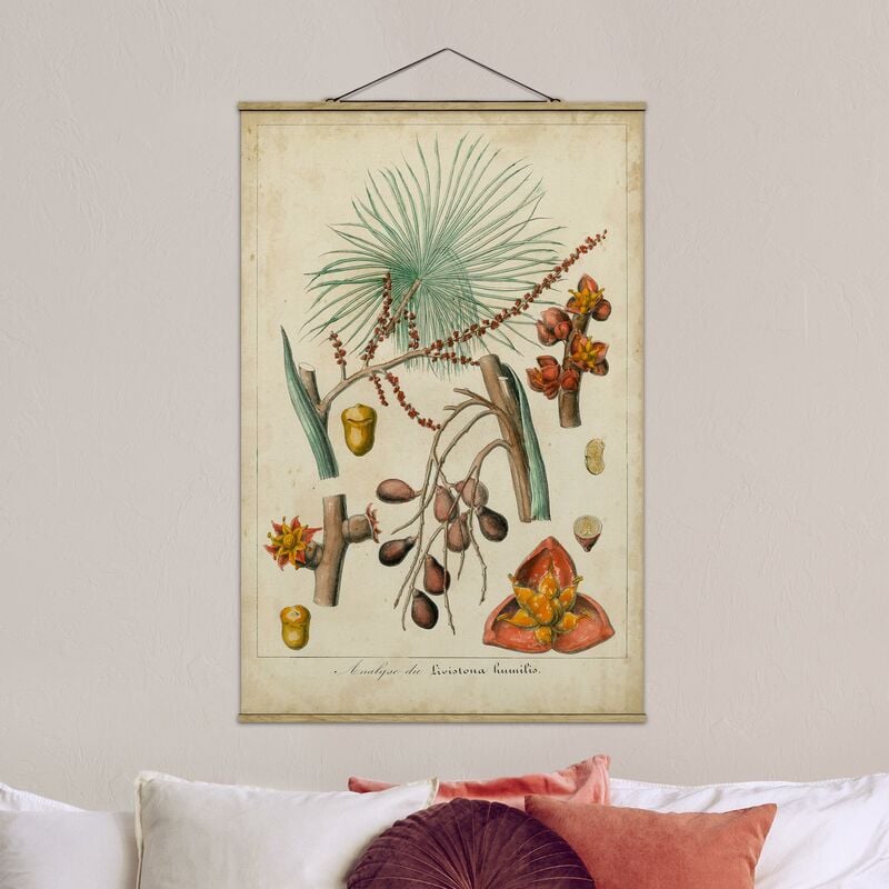 Imagen de tela - Vintage Board Exotic Palms III - Alto 3:2 Dimensión LxA: 52.5cm x 35cm
Imagen de tela - Vintage Board Exotic Palms III - Alto 3:2 Dimensión LxA: 52.5cm x 35cm