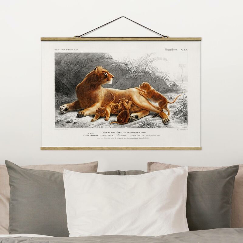 Imagen de tela - Vintage Board Lioness And Lion Cubs - Apaisado 2:3 Dimensión LxA: 23.5cm x 35cm
Imagen de tela - Vintage Board Lioness And Lion Cubs - Apaisado 2:3 Dimensión LxA: 23.5cm x 35cm