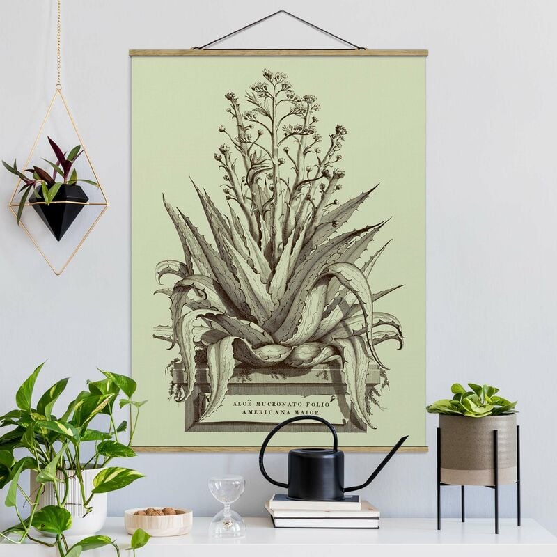 Imagen de tela - Vintage Aloe Vera Americana Major - Alto 4:3 Dimensión LxA: 66.4cm x 50cm
Imagen de tela - Vintage Aloe Vera Americana Major - Alto 4:3 Dimensión LxA: 66.4cm x 50cm