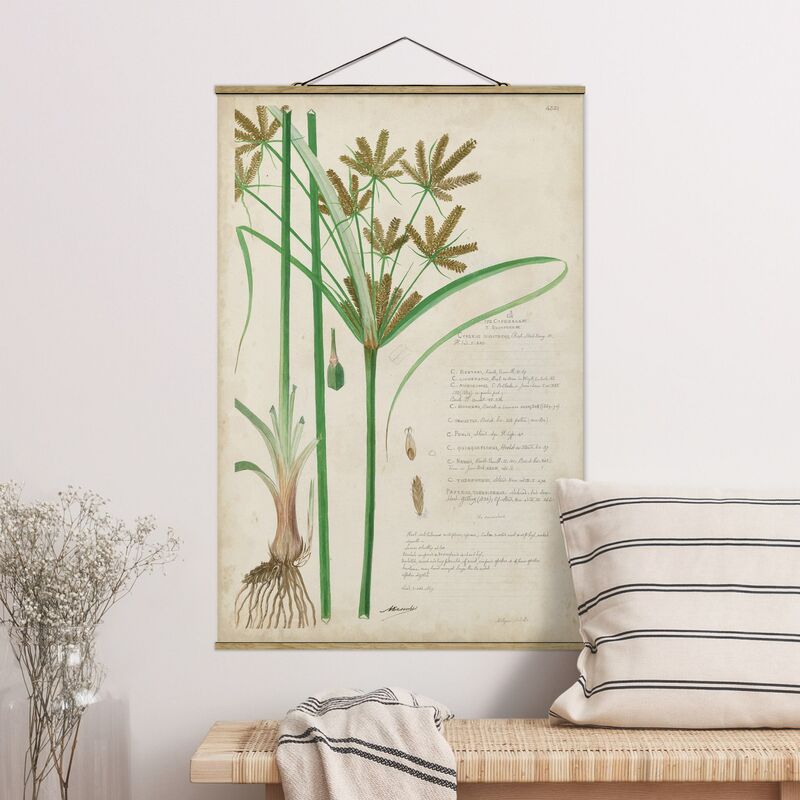 Imagen de tela - Vintage Botany Drawing Grasses I - Alto 3:2 Dimensión LxA: 150cm x 100cm
Imagen de tela - Vintage Botany Drawing Grasses I - Alto 3:2 Dimensión LxA: 150cm x 100cm
