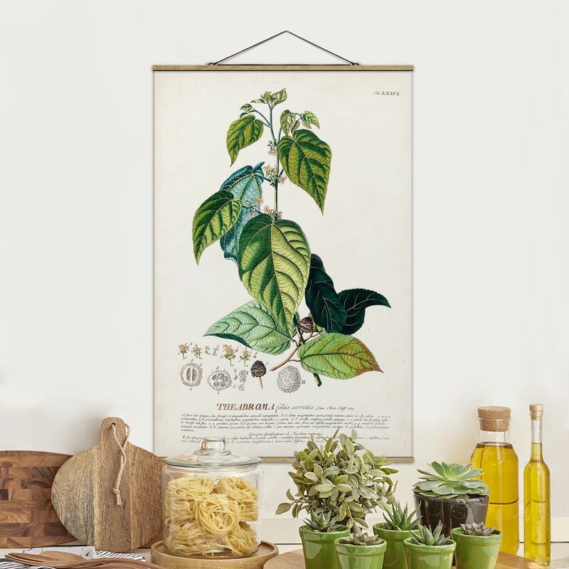 Imagen de tela - Vintage Botanical Illustration Cocoa - Alto 3:2 Dimensión LxA: 75cm x 50cm
Imagen de tela - Vintage Botanical Illustration Cocoa - Alto 3:2 Dimensión LxA: 75cm x 50cm