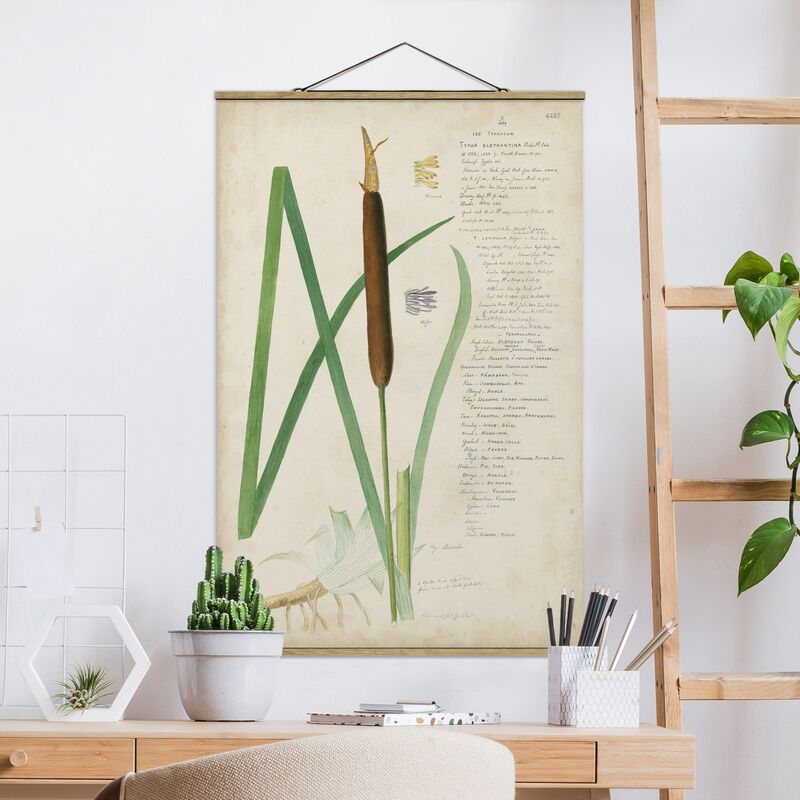 Imagen de tela - Vintage Botany Drawing Grasses II - Alto 3:2 Dimensión LxA: 75cm x 50cm
Imagen de tela - Vintage Botany Drawing Grasses II - Alto 3:2 Dimensión LxA: 75cm x 50cm