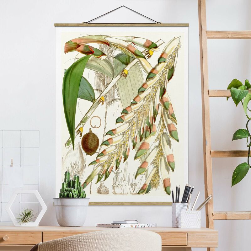 Imagen de tela - Vintage Illustration Tropical Flowers III - Alto 4:3 Dimensión LxA: 66.4cm x 50cm
Imagen de tela - Vintage Illustration Tropical Flowers III - Alto 4:3 Dimensión LxA: 66.4cm x 50cm