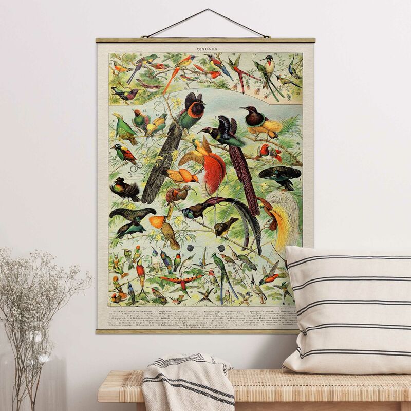 Imagen de tela - Vintage Board Birds Of Paradise - Alto 4:3 Dimensión LxA: 66.4cm x 50cm
Imagen de tela - Vintage Board Birds Of Paradise - Alto 4:3 Dimensión LxA: 66.4cm x 50cm