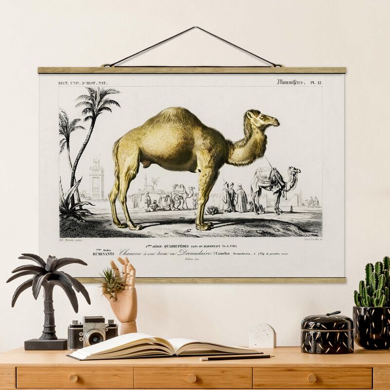 Imagen de tela - Vintage Board Dromedary - Apaisado 2:3 Dimensión LxA: 33.5cm x 50cm
Imagen de tela - Vintage Board Dromedary - Apaisado 2:3 Dimensión LxA: 33.5cm x 50cm