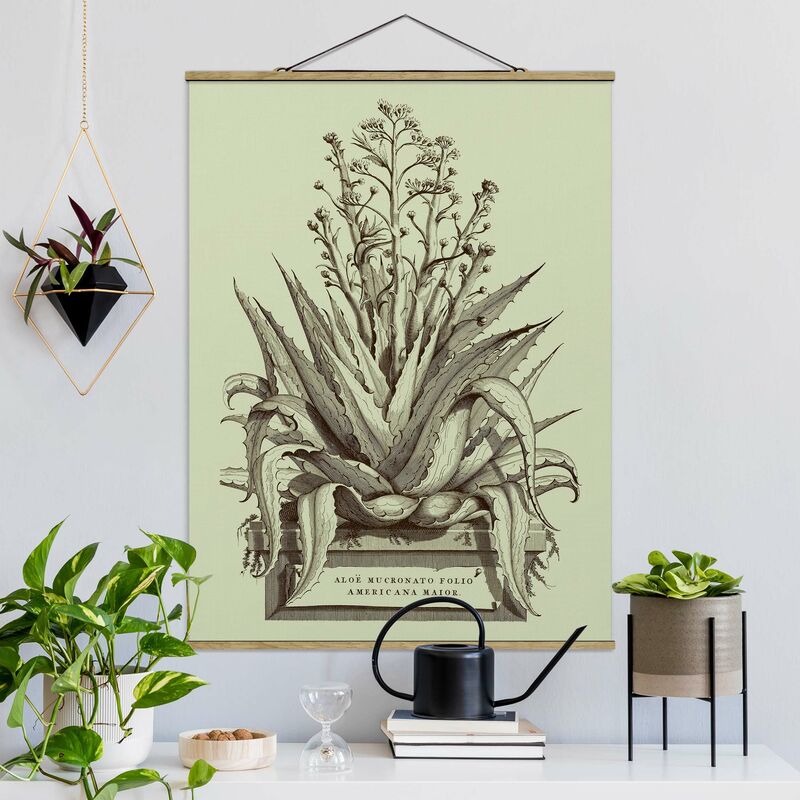 Imagen de tela - Vintage Aloe Vera Americana Major - Alto 4:3 Dimensión LxA: 133.5cm x 100cm
Imagen de tela - Vintage Aloe Vera Americana Major - Alto 4:3 Dimensión LxA: 133.5cm x 100cm